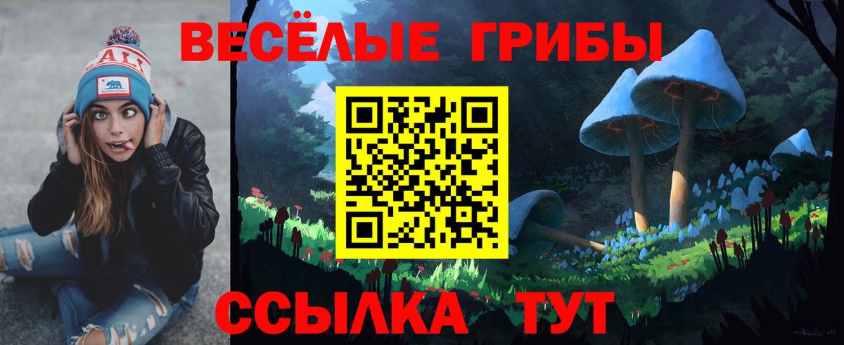 Нальчик  Псилоцибиновые грибы Cubensis  Вход с VPN 